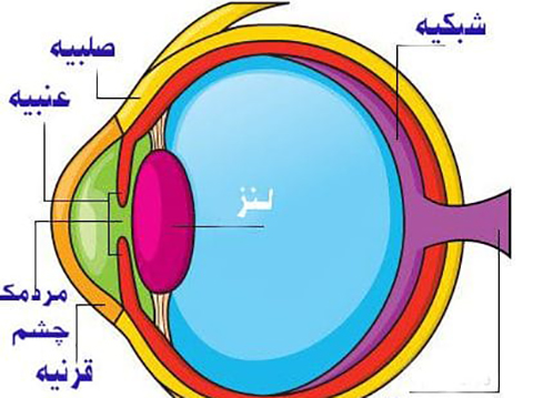 ارائه کنفرانس در زنگ علوم