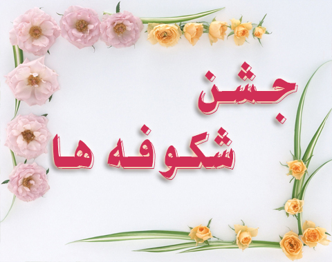 برگزاری مراسم روز شکوفه ها- شهریور ماه 1401